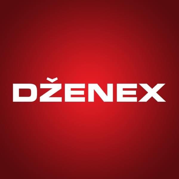 Dzenex web logo.jpg