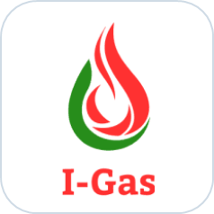 I gas Srebreni logo.png